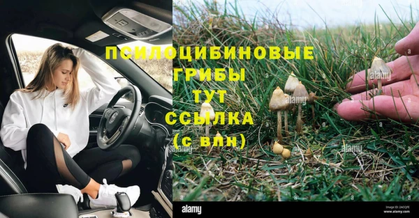 герыч Мегион