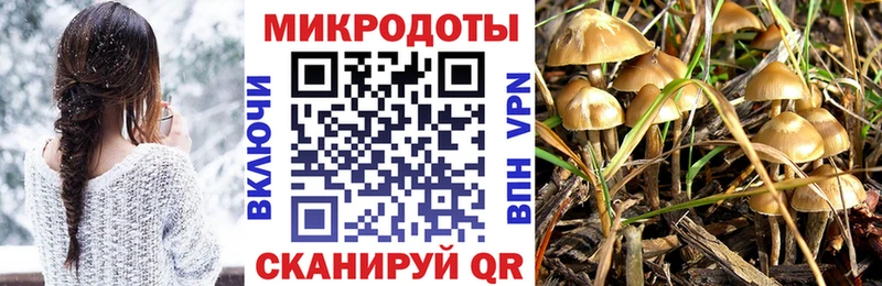Псилоцибиновые грибы Cubensis Дюртюли